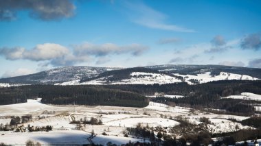 Kışın büyük baykuş