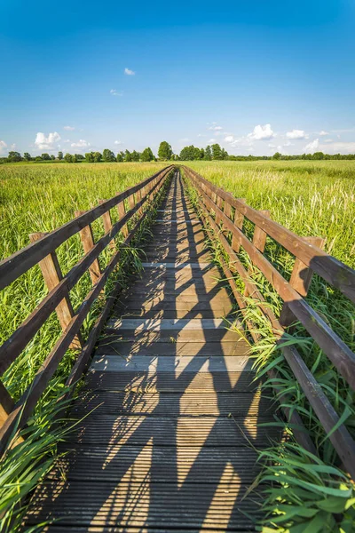 Fa járda a Narew Nemzeti Park — Stock Fotó