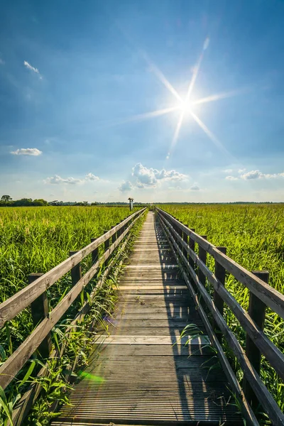 Dřevěný chodník v národním parku Narew — Stock fotografie