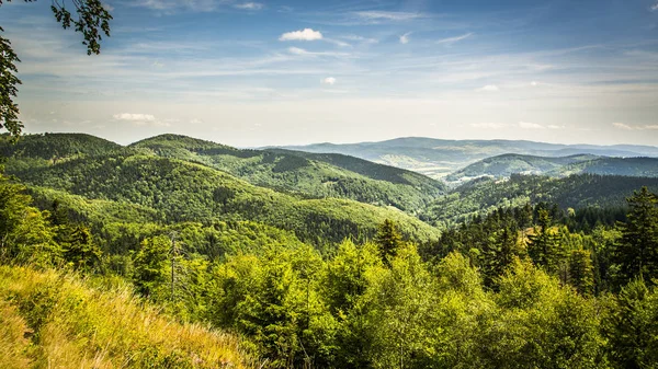 Blick von waligora — Stockfoto