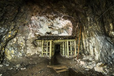 Riese projesi - Osowka