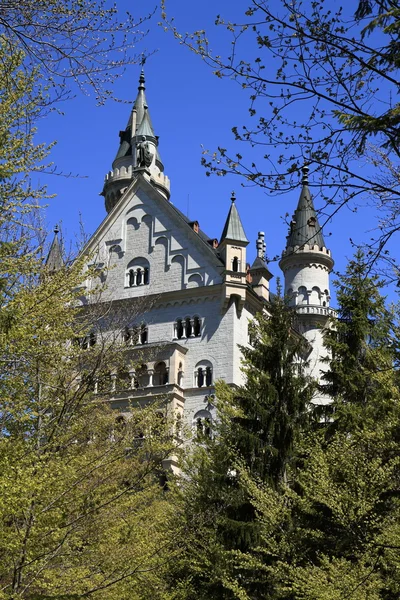 Château de Neuschwanstein dans les Alpes bavaroises — Photo
