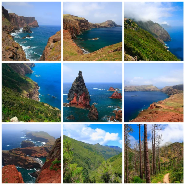 Eindrücke von Madeira — Stockfoto