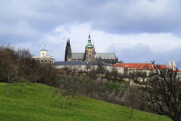 Praag kasteel en de Sint-Vituskathedraal — Stockfoto