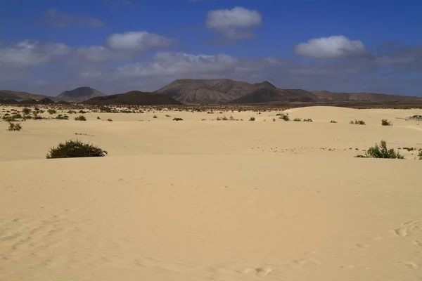 Corralejo, Fuerteventura dűnéi — Stock Fotó