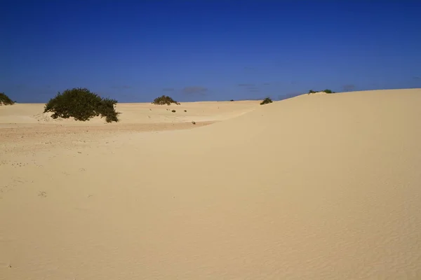 Dunes of Corralejo, Fuerteventura — Stock Photo, Image