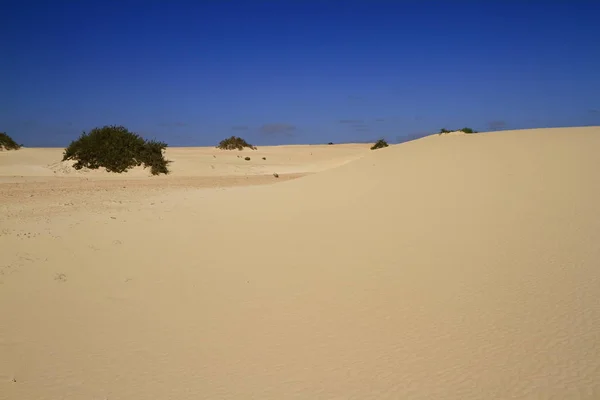 Wydm Corralejo, fuerteventura — Zdjęcie stockowe