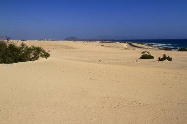 Dunes Corralejo, fuerteventura