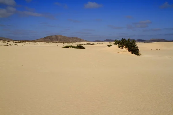 Corralejo, Fuerteventura dűnéi — Stock Fotó