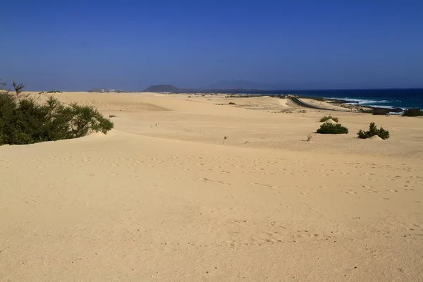 Sanddynerna i corralejo, fuerteventura — Stockfoto
