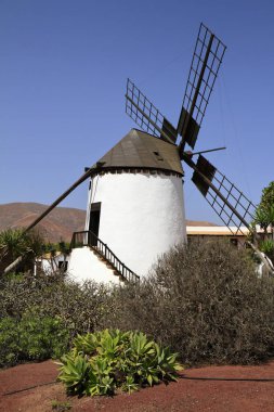 Fuerteventura, Antigua Köyü eski yel değirmeni