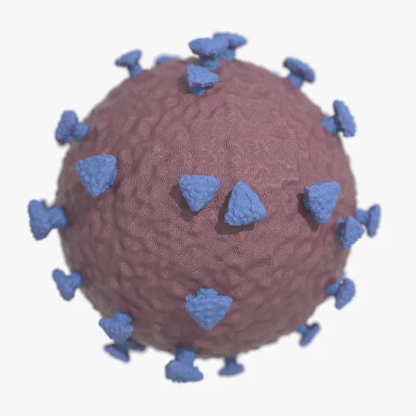 Coronavirus Covid Modelo — Fotografia de Stock