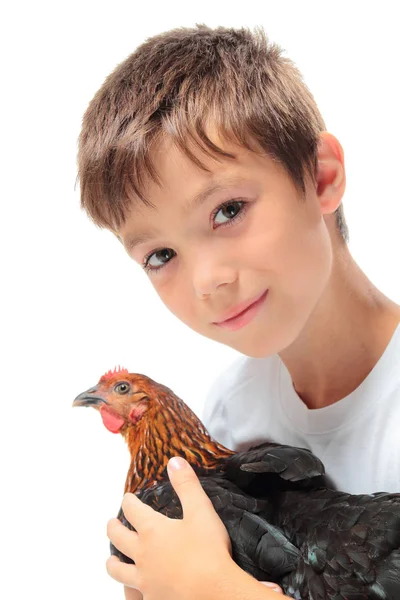 鶏を持つ少年 — ストック写真