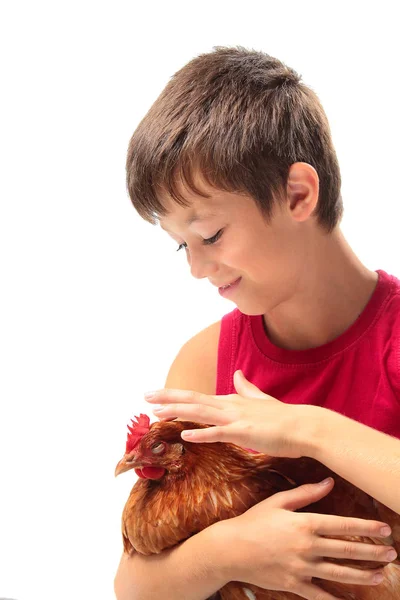 Il ragazzo con la gallina — Foto Stock