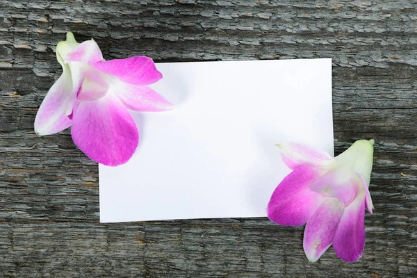 Fleurs d'orchidée lilas — Photo