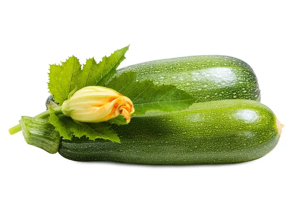 Zwei grüne Zucchini — Stockfoto
