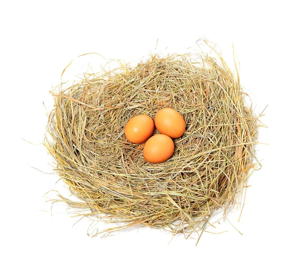 The nest with eggs — Stock Photo, Image