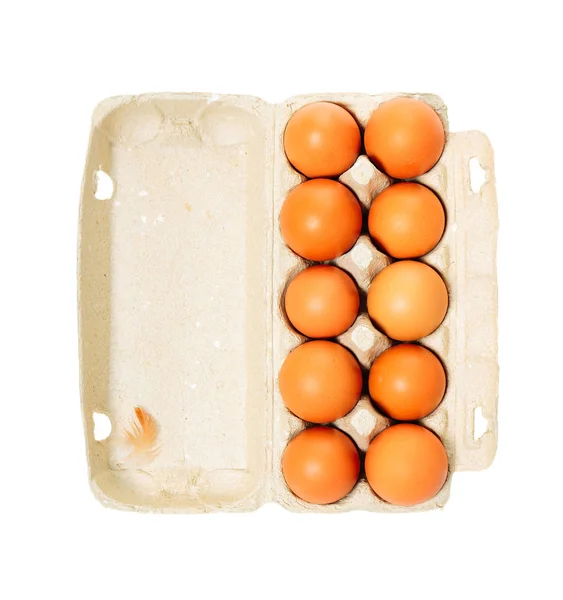 Ägg låda med ägg — Stockfoto