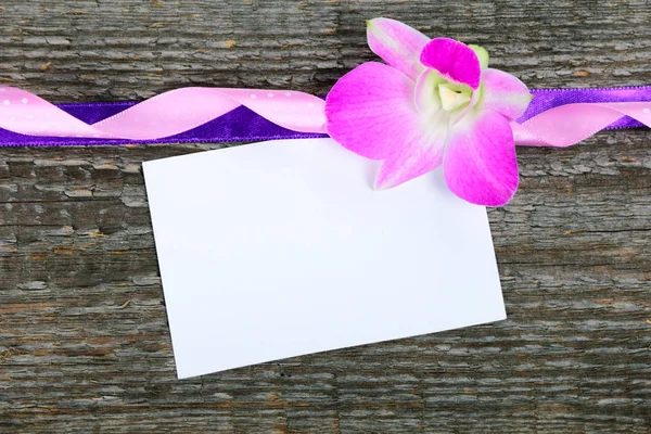 Lilac orchid Cymbidium — Stock Photo, Image