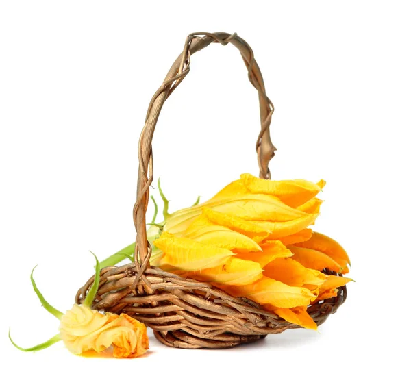 Zucchini flowers on white — Stock Photo, Image