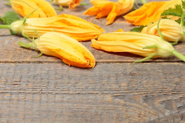 Edible zucchini flowers — Stock Photo, Image