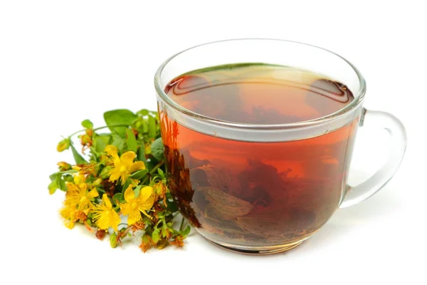 Hypericum çay çiçek ile — Stok fotoğraf