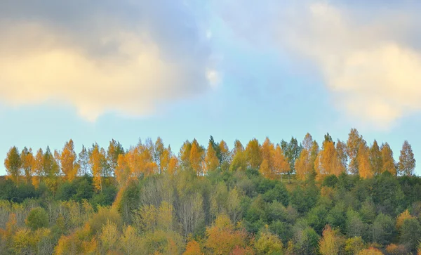 Paysage d'automne montagne — Photo