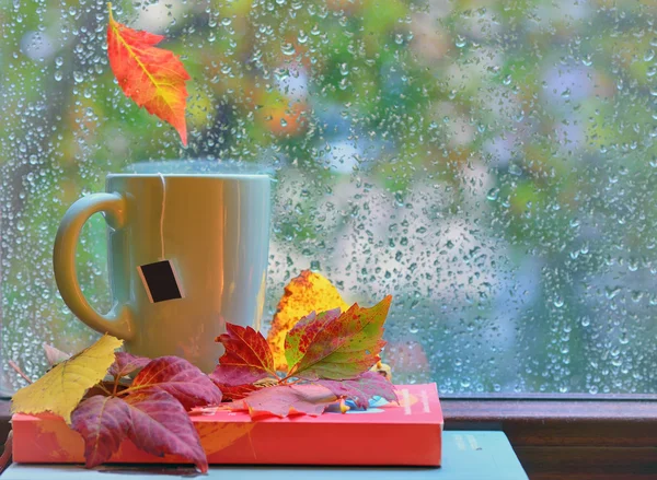 Taza de té en la ventana con hojas y gotas — Foto de Stock