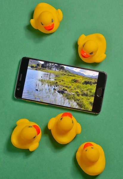 Pato de borracha amarelo e conceito de smartphone — Fotografia de Stock