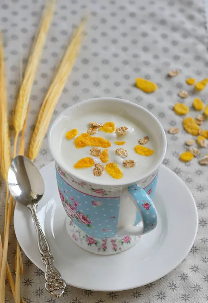 Xícara de iogurte com cereais — Fotografia de Stock