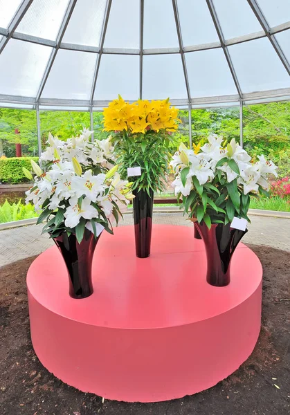 Lys jaunes et blancs dans un vase — Photo