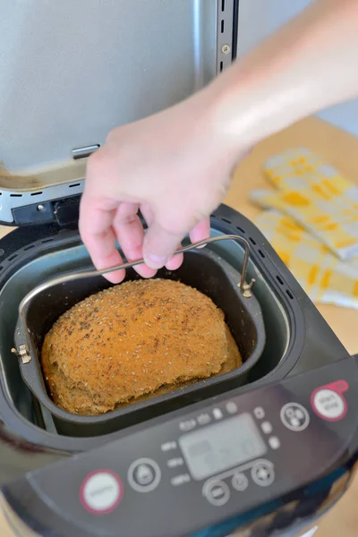 Ekmek makinesi ve taze ekmek — Stok fotoğraf