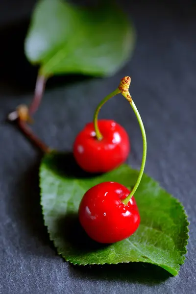 Cerises mûres avec feuille — Photo