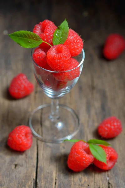 Framboises en petit verre — Photo