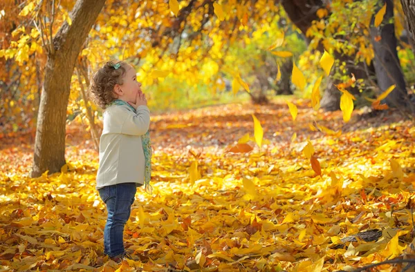 Κοριτσάκι στο πάρκο του φθινοπώρου — Φωτογραφία Αρχείου