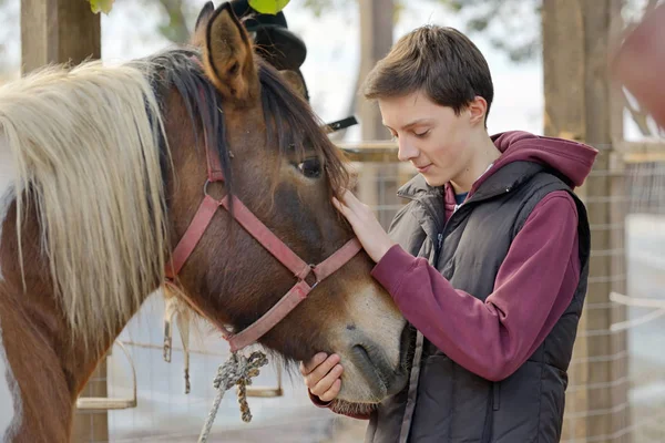 Adolescente amor un caballo — Foto de Stock