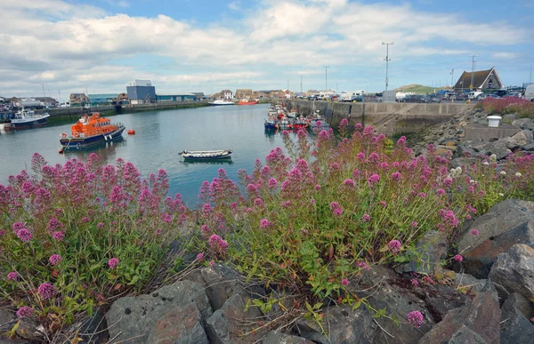 Місті Howth гавані в Ірландії — стокове фото