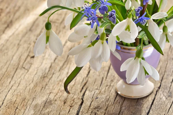 Bouquet snowdrops in a vase on woody background — Stock Photo, Image