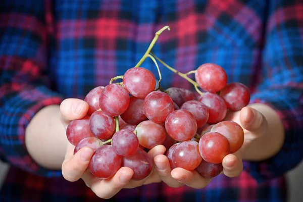 Young woman holding grapes — Stock Photo, Image