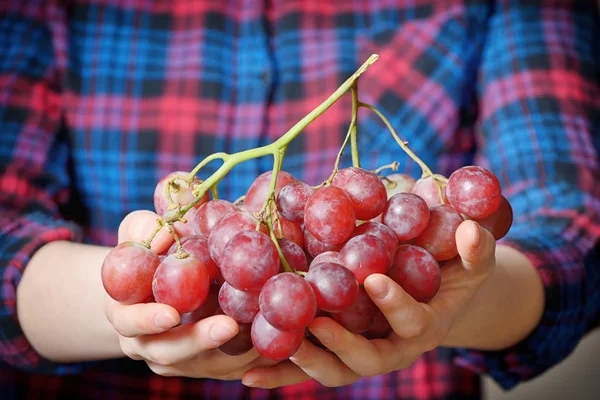 Young woman holding grapes — Stock Photo, Image