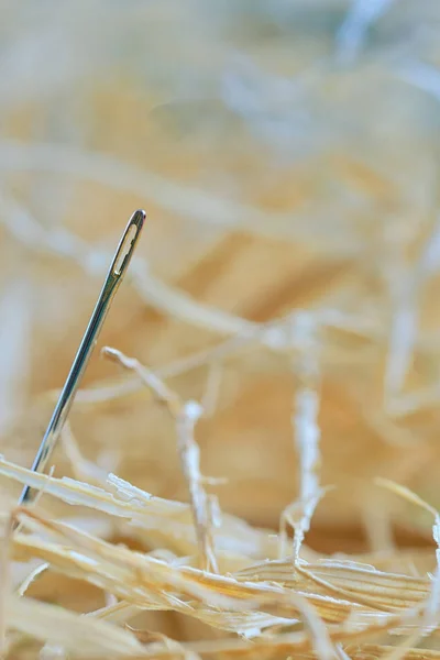 Looking for a needle in a haystack — Stock Photo, Image