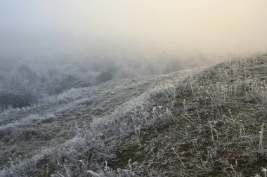 Soğuk Kış Sabahı Manzarası 