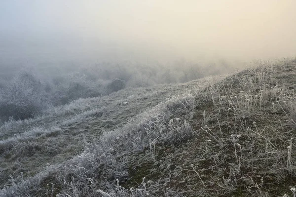 Soğuk Kış Sabahı Manzarası 