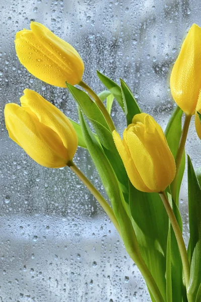 Vazodaki Sarı Lale Çiçekleri Buketi — Stok fotoğraf