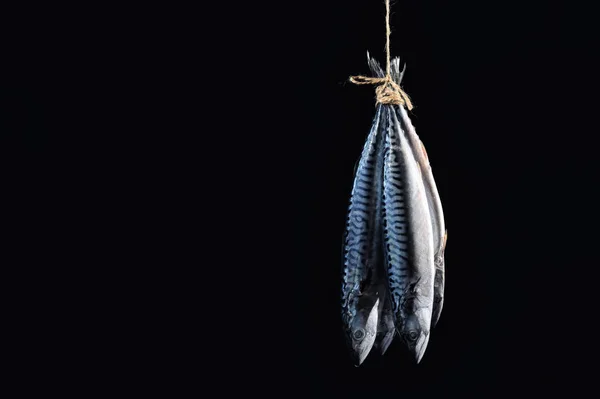 Pescado Caballa Ahumado Con Cuerda Aislada Sobre Fondo Negro —  Fotos de Stock