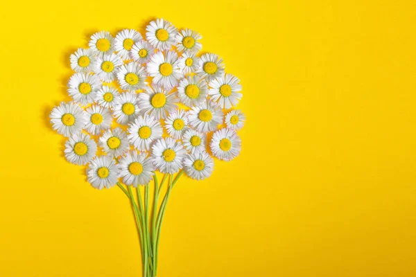 Abstraktní Sedmikráska Květ Kytice Žlutém Podkladu — Stock fotografie
