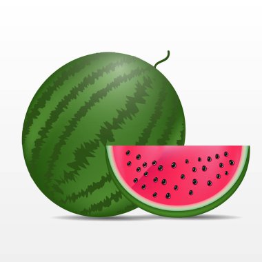 karpuz bg vektör çizim eps 10 üzerinde 