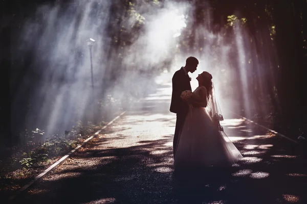 Jonggehuwden omarmen in een prachtig bos park tussen de stralen van de zon van de instelling door de mist. — Stockfoto