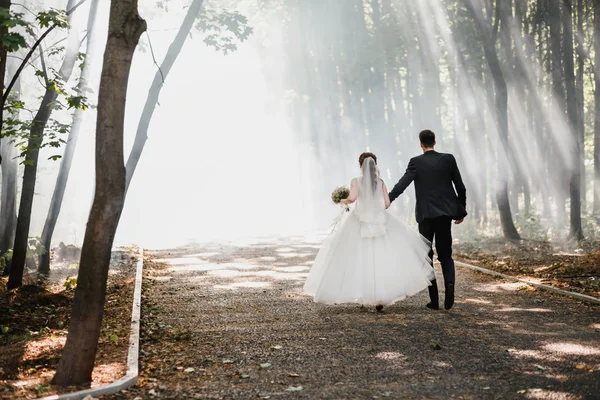 Recién casados abrazándose en un hermoso bosque de parque entre rayos del sol poniente a través de la niebla . —  Fotos de Stock