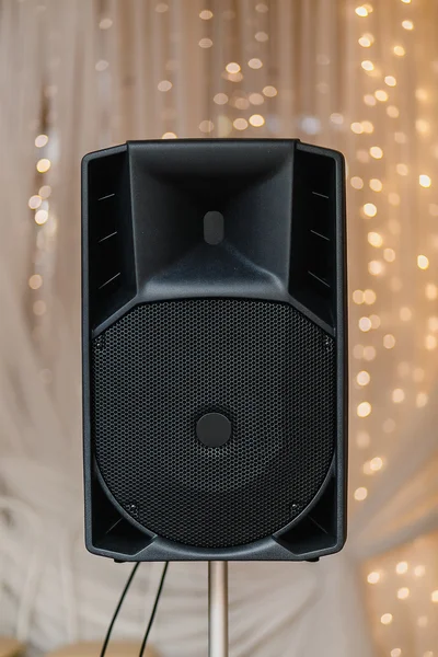 Large powerful Audio Speaker on tripod on festive banquet Background
